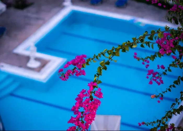 Aphrodite Kallithéa