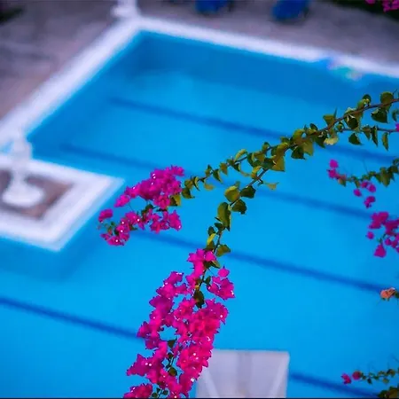 Aphrodite Καλλιθέα